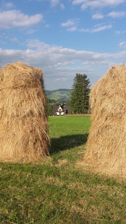 Willa Goralskie Klimaty Bukowina Tatrzańska Buitenkant foto