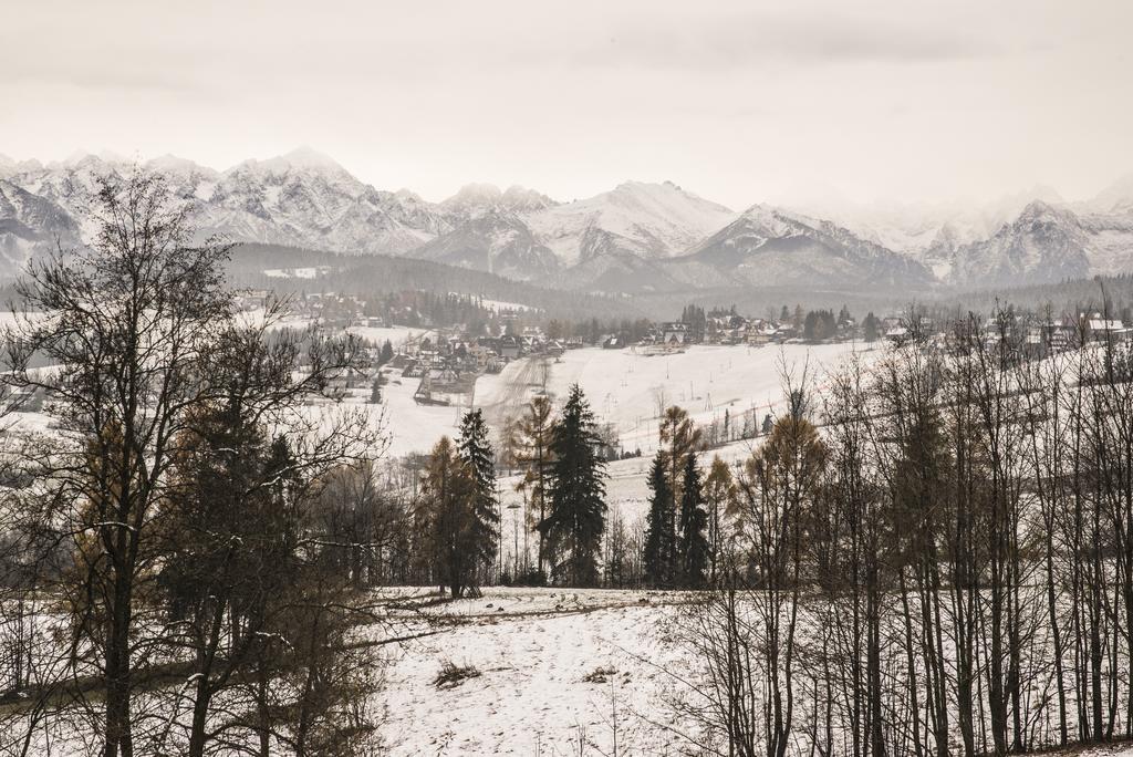 Willa Goralskie Klimaty Bukowina Tatrzańska Buitenkant foto