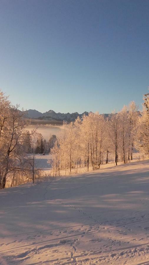 Willa Goralskie Klimaty Bukowina Tatrzańska Buitenkant foto